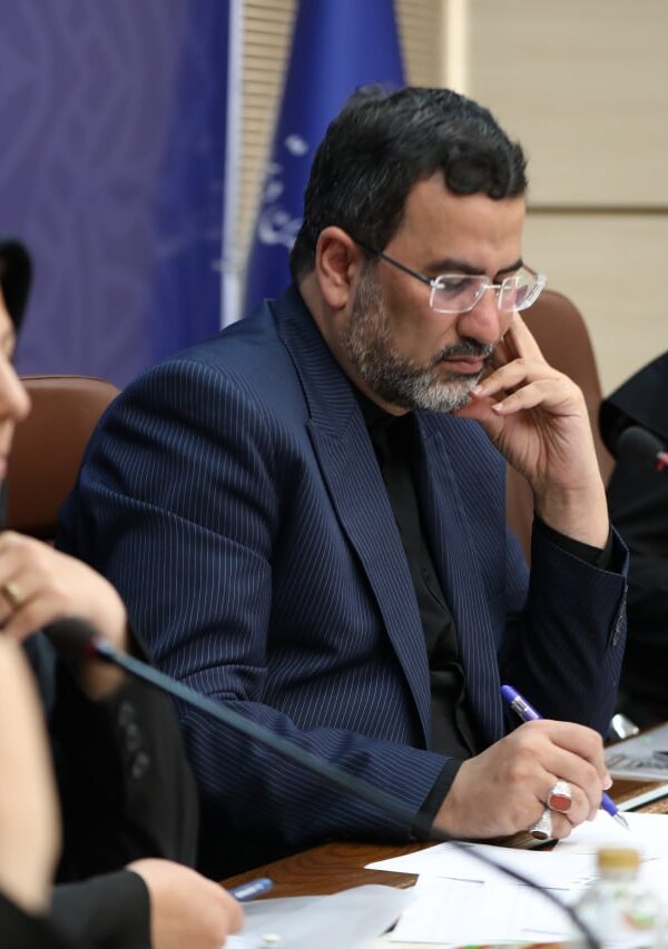 محمدمهدی برادران معاون وزارت صمت جلسه شورای سیاستگذاری نمایشگاه فارمکس 2023